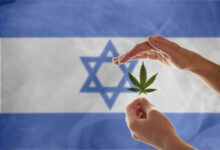 יד מחזיקה עלה קנאביס על רקע דגל ישראל